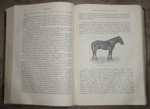 "Книга о лошади"   1911г.   князь С.П. Урусов.  Два тома.