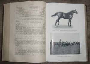 "Книга о лошади"   1911г.   князь С.П. Урусов.  Два тома.