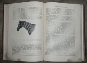 "Книга о лошади"   1911г.   князь С.П. Урусов.  Два тома.