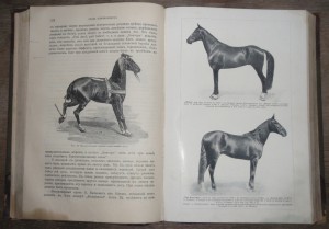 "Книга о лошади"   1911г.   князь С.П. Урусов.  Два тома.