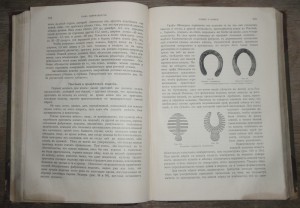 "Книга о лошади"   1911г.   князь С.П. Урусов.  Два тома.