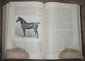 "Книга о лошади"   1911г.   князь С.П. Урусов.  Два тома.