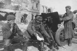 Cлава 3 ст. 799774 ННГ , наводчик 76мм пушки , Вост. Пруссия