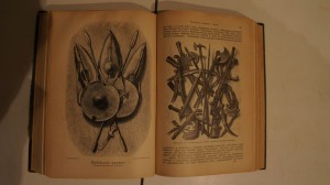 Фридрих Ратцель. Народоведение в 2 томах. 1896 г.С-Петер RR