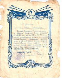 Комплект повара Химина И.И.(КЗ,Отвага,ЗБЗ+9 благодарностей)
