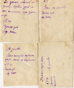 Полярные навигации 1932 - 34гг