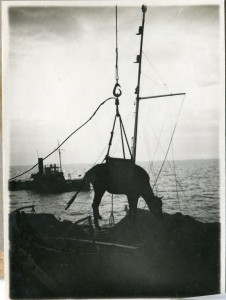 Сев.Мор. путь и зимовья .