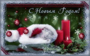 С Новым Годом!!!