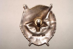 БКЗ винт №25