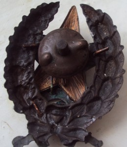 КРАСКОМ (кавалерия).