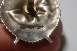 БКЗ винт №25