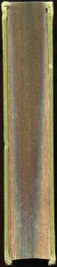 Комнатное садоводство. 1904г.