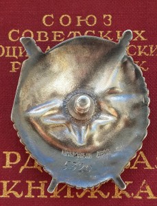 БКЗ винт №25