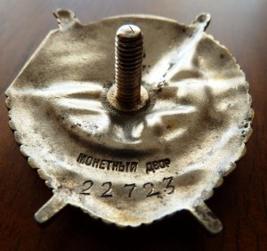 БКЗ винт №25