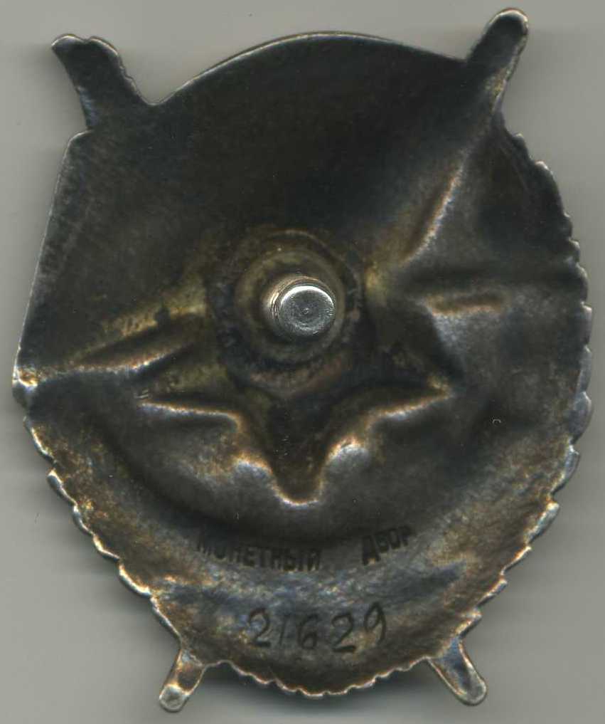 БКЗ винт №25