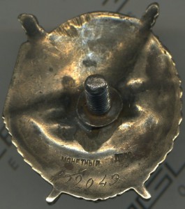 БКЗ винт №25