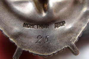 БКЗ винт №25