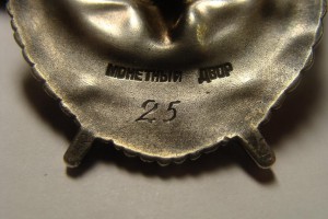 БКЗ винт №25