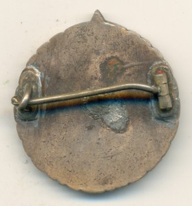 200 лет ЛГХУ: 1738-1938-й. На застёжке.