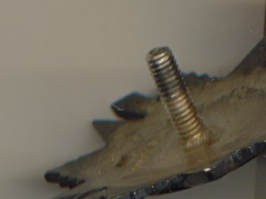 Отечка №762745  (2028)