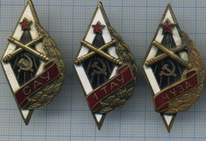 1-е ТАУ, 2-е ЛАУ, ЧУЗА, ДАУ, ОАУ и САУ.