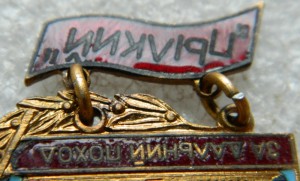 За дальний поход ПЫЛКИЙ