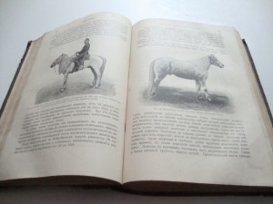 Урусов С.П.  Книга о лошади. 1911г.