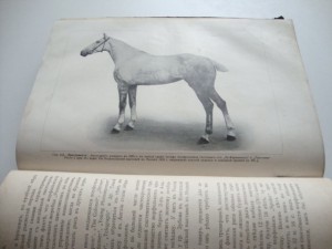 Урусов С.П.  Книга о лошади. 1911г.