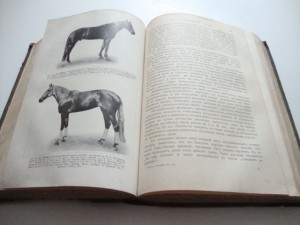 Урусов С.П.  Книга о лошади. 1911г.
