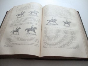 Урусов С.П.  Книга о лошади. 1911г.