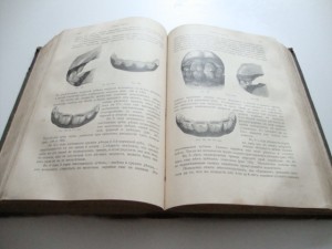 Урусов С.П.  Книга о лошади. 1911г.