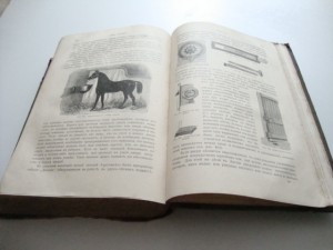 Урусов С.П.  Книга о лошади. 1911г.
