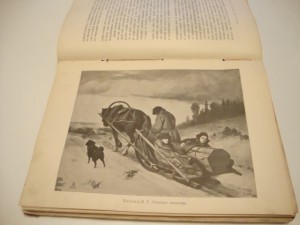 История русского искусства. Новицкий. 1903г.