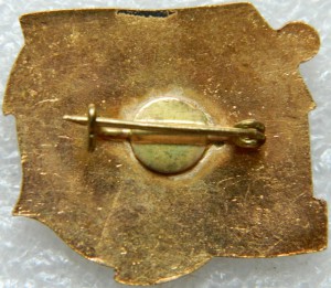 МОЛНИЯ -2