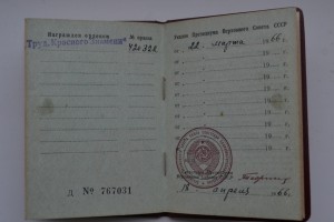 "Слава","Отвага",Окт.Рев.ТКЗ,ОВ-II(юб.)+медали на гв.ефр.