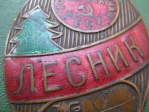 Знак ЛЕСНИК