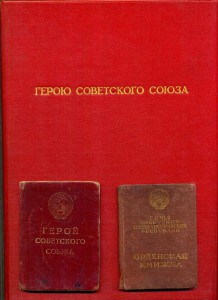 ГСС, МГ+БГ + ОРД (тоесть все доки), фото!