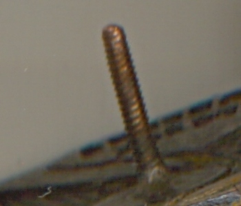 Ворошиловский стрелок (3034)