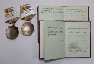Слава Трудовая 2 и 3ст. на документах на тётю
