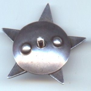 Красная звезда 550271