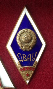 ГВУС и ДВАУ вместе