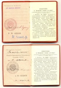 ТД, ТО 9 шт. (3091)