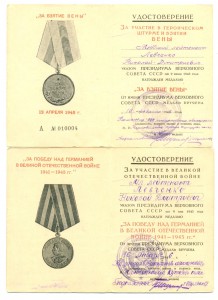 Вена. ЗПНГ, штурмовая авиация на одного (3094)