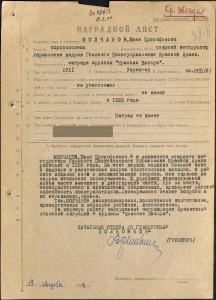 Красная ЗПНГ (3100)