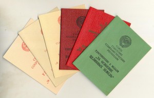 Красная ЗПНГ (3100)