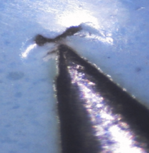 За службу Родине в ВС СССР 3 ст. № 2038. (06.02. 22.00 МСК)