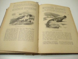 Брэм. Жизнь животных. В 3 -х томах. Том I. 1902г.