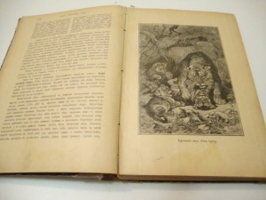 Брэм. Жизнь животных. В 3 -х томах. Том I. 1902г.