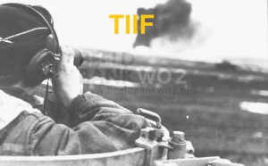 КЗ № 321693 гв.ст.сержанта Бровченко.ТИГРА из сорокапятки !