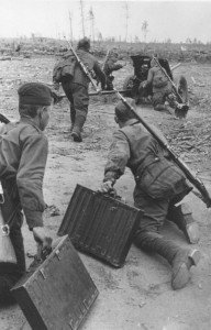 КЗ № 321693 гв.ст.сержанта Бровченко.ТИГРА из сорокапятки !